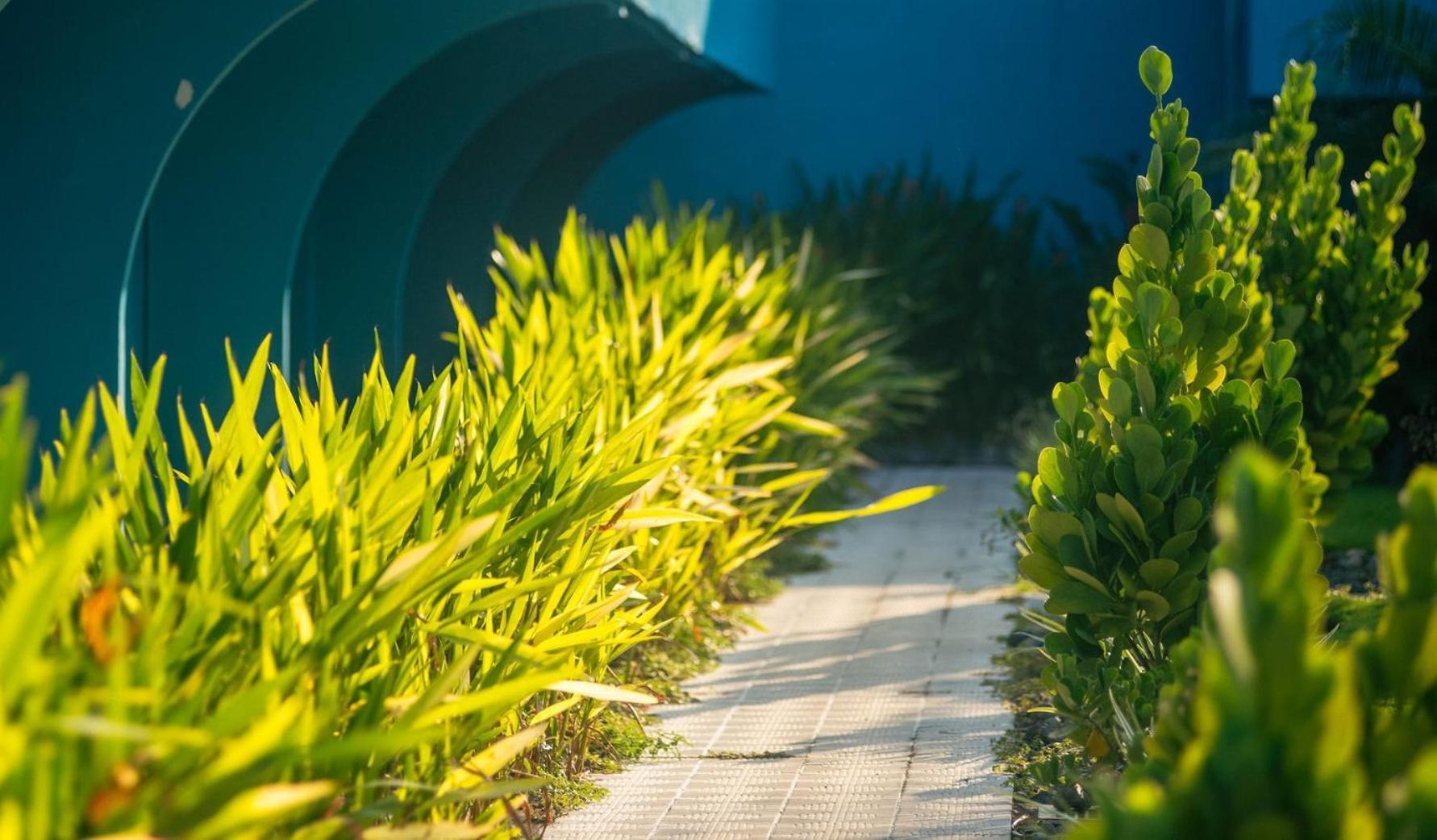 Beach Break Resort & Cr Surf Camp Jaco Ngoại thất bức ảnh