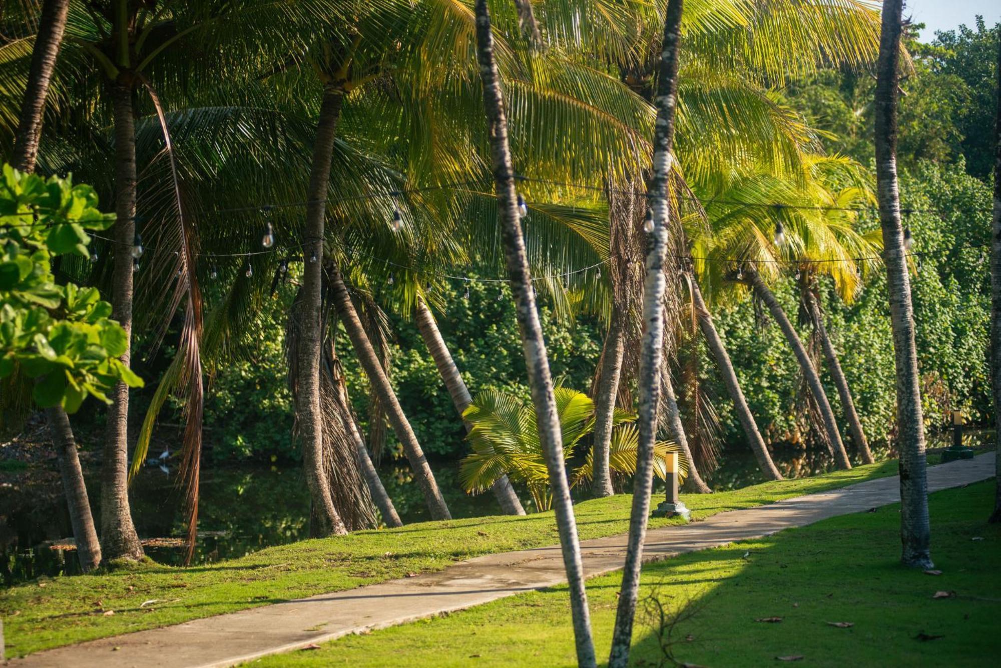 Beach Break Resort & Cr Surf Camp Jaco Ngoại thất bức ảnh