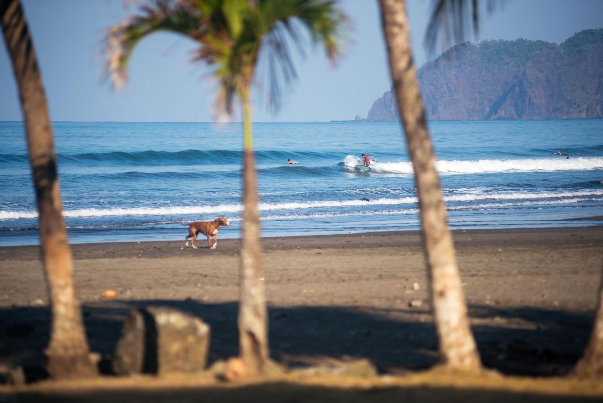 Beach Break Resort & Cr Surf Camp Jaco Ngoại thất bức ảnh